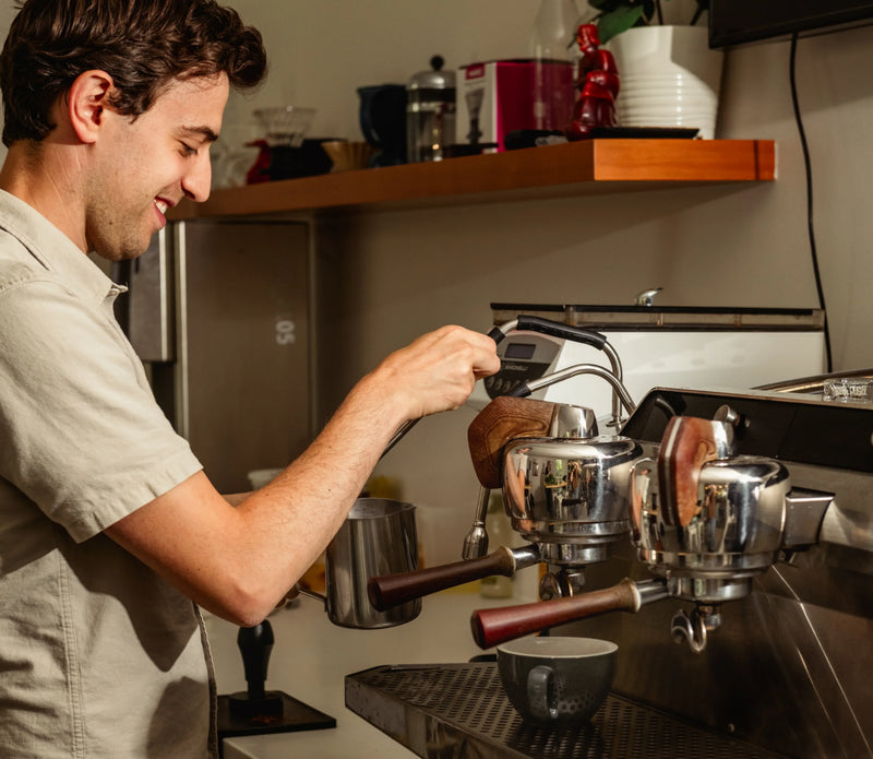 Barista steaming milk